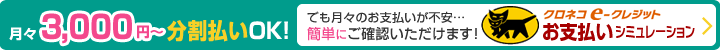 月々3,000円からの分割払いが可能です！